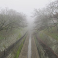 682-1.jpg