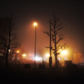 683-2.jpg