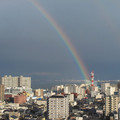 684-3.jpg