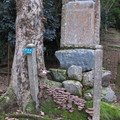 685-2.jpg