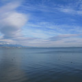 690-1.jpg