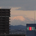 723-3.jpg