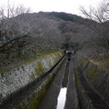 731-1.jpg
