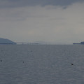 732-1.jpg