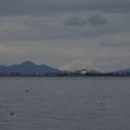 732-3.jpg
