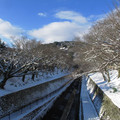 735-1.jpg