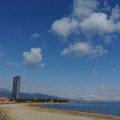739-1.jpg