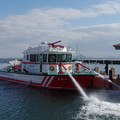 739-2.jpg