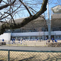 740-2.jpg