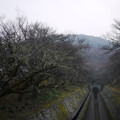 741-3.jpg