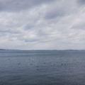 743-1.jpg