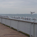 744-1.jpg