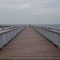 744-2.jpg