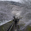 745-1.jpg
