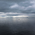 748-1.jpg