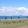 749-1.jpg
