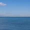 749-3.jpg