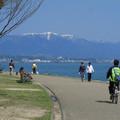 787-2.jpg