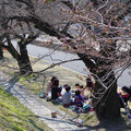 788-1.jpg