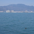 788-3.jpg