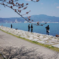 789-2.jpg