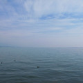 790-1.jpg