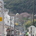 791-1.jpg