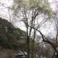 791-3.jpg