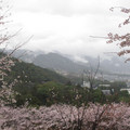796-1.jpg