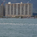796-2.jpg