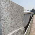799-3.jpg