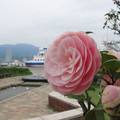 802-3.jpg