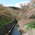 803-2.jpg