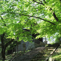 815-1.jpg