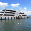 852-2.jpg