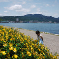 853-2.jpg