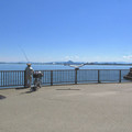 855-1.jpg