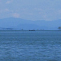 855-2.jpg