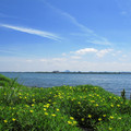 856-2.jpg