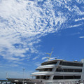 859-3.jpg