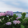 861-2.jpg