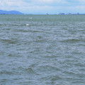 862-2.jpg