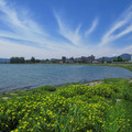 865-1.jpg
