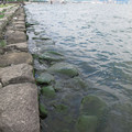 867-2.jpg