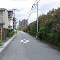 867-3.jpg