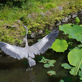 870-1.jpg