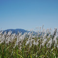 870-3.jpg