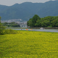 871-1.jpg