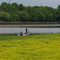 871-2.jpg