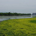871-3.jpg